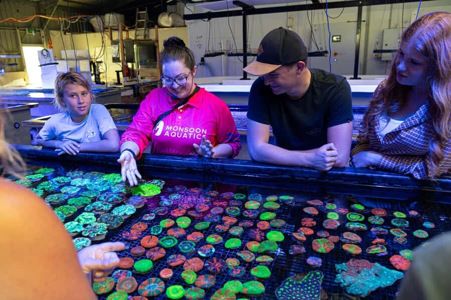 Bundaberg: Monsoon Aquatics Coral Farm Guided Tour - The Experience in Detail
