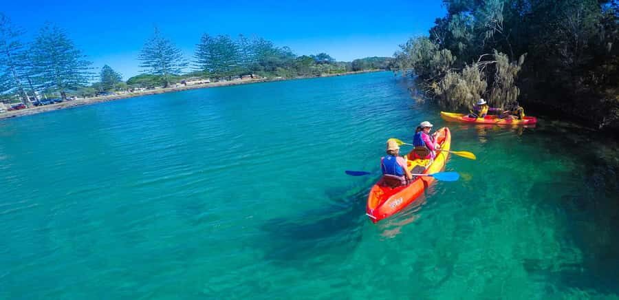 Byron Bay: Brunswick River Scenic Kayak Tour - The Real Feedback from Participants