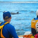 Byron Bay: The Byron Bay Sea Kayak Tour - Practical Details: Booking, Cost, and What to Bring