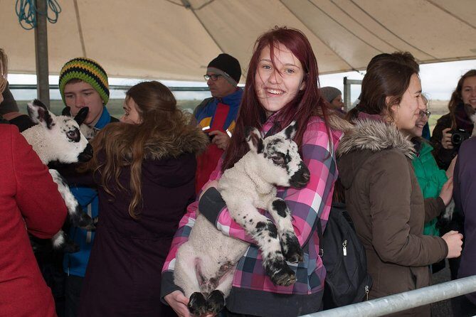 Caherconnell Fort & Sheepdog Demonstrations - The Practical Details That Matter