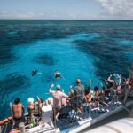 Cairns: 2-Day Great Barrier Reef and Fitzroy Island Tour - What to Expect: Day 2 on Fitzroy Island