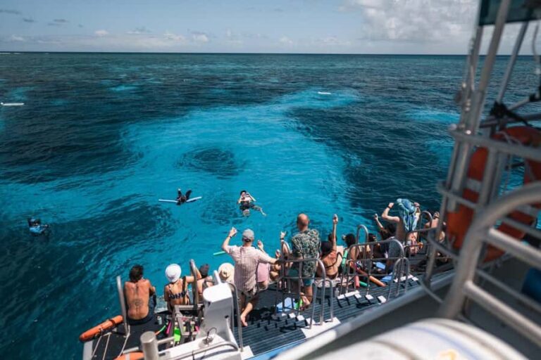 Cairns: 2-Day Great Barrier Reef and Fitzroy Island Tour - What to Expect: Day 2 on Fitzroy Island