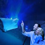 Cairns: Aquarium Guided Twilight Tour with 3-Course Dinner - The Itinerary Breakdown