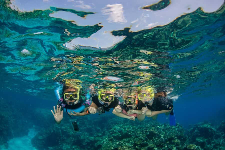 Cairns: Best Value All-inclusive Reef Trip With Scuba Dive - Final Thoughts