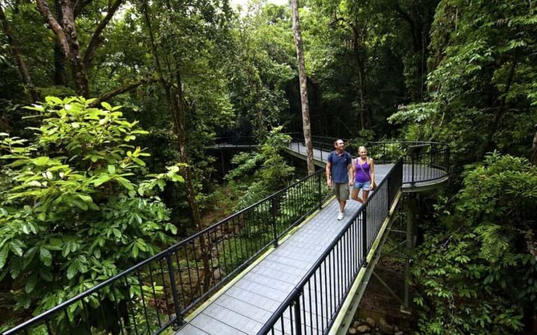 Cairns: Cape Tribulation, Mossman Gorge & Daintree Day Tour - Transportation & Comfort