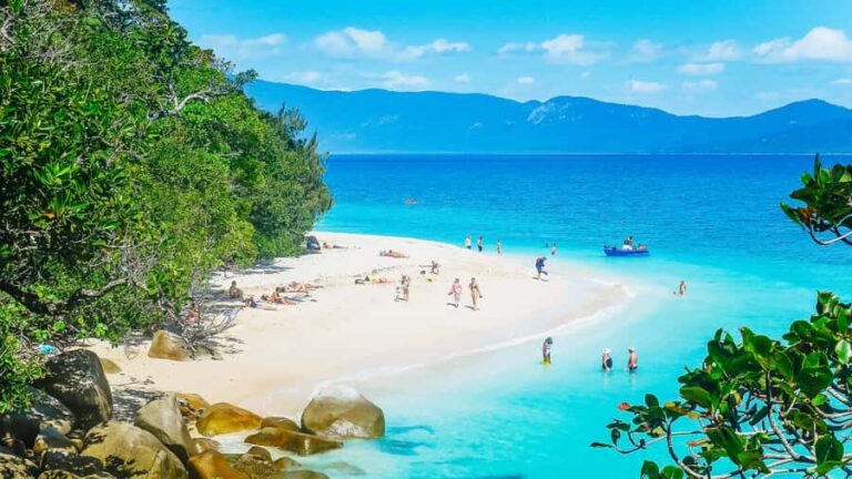 Cairns: Fitzroy Island Ferry with Optional Lunch & Activity - What Do Travelers Say?
