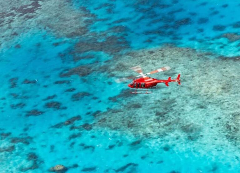 Cairns: Great Barrier Reef 30-Minute Helicopter Flight - The Experience and the Guides
