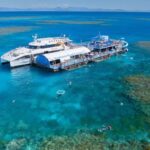 Cairns: Great Barrier Reef and Fitzroy Island Boat Tour - What Makes This Tour Stand Out?