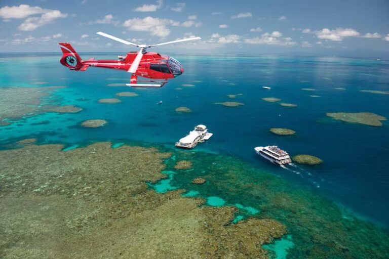 Cairns: Great Barrier Reef Cruise & 10 Minute Helicopter - The Day in Detail: What to Expect