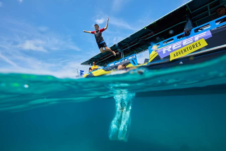 Cairns: Great Barrier Reef Half-Day Snorkelling Tour - Where you meet and how check-in works in real life