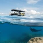 Cairns: Great Barrier Reef Small Group Snorkelling Tour - The Experience of the Crew