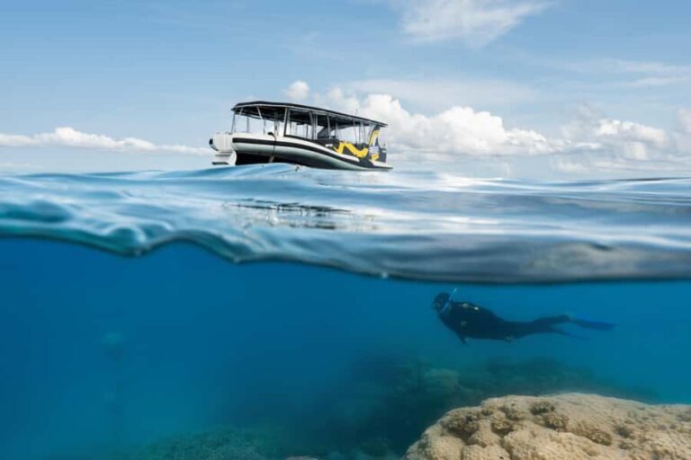 Cairns: Great Barrier Reef Small Group Snorkelling Tour - The Experience of the Crew