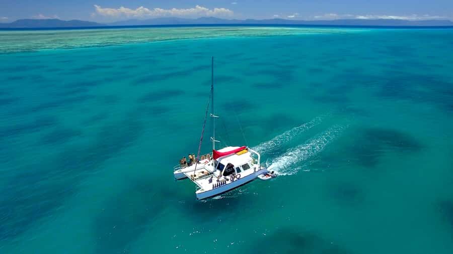 Cairns: Great Barrier Reef Snorkeling Tour with Lunch - Real Traveler Insights