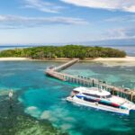 Cairns: Green Island + Moore Reef Activity Platform Combo - Who Is This Tour Best For?