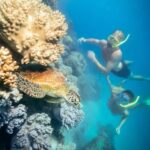Cairns: Green Island, Snorkelling and Glass-Bottom Boat - An In-Depth Look at the Tour