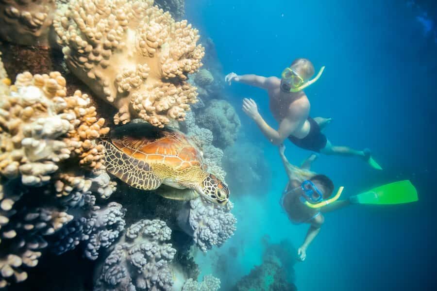 Cairns: Green Island, Snorkelling and Glass-Bottom Boat - An In-Depth Look at the Tour
