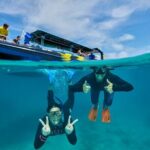 Cairns Half Day Tour a Great Barrier Reef Snorkeling Experience - Who Is This Tour Best For?