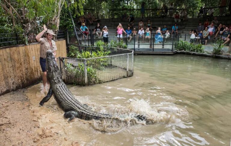 Cairns: Hartley's Crocodile Adventures Visit with Transfer - Is It Worth the Price?