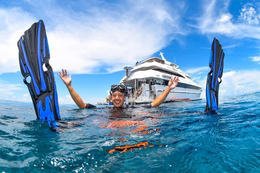 Cairns: Outer Great Barrier Reef Full-Day Tour with Lunch - Comparing the Experience to Others