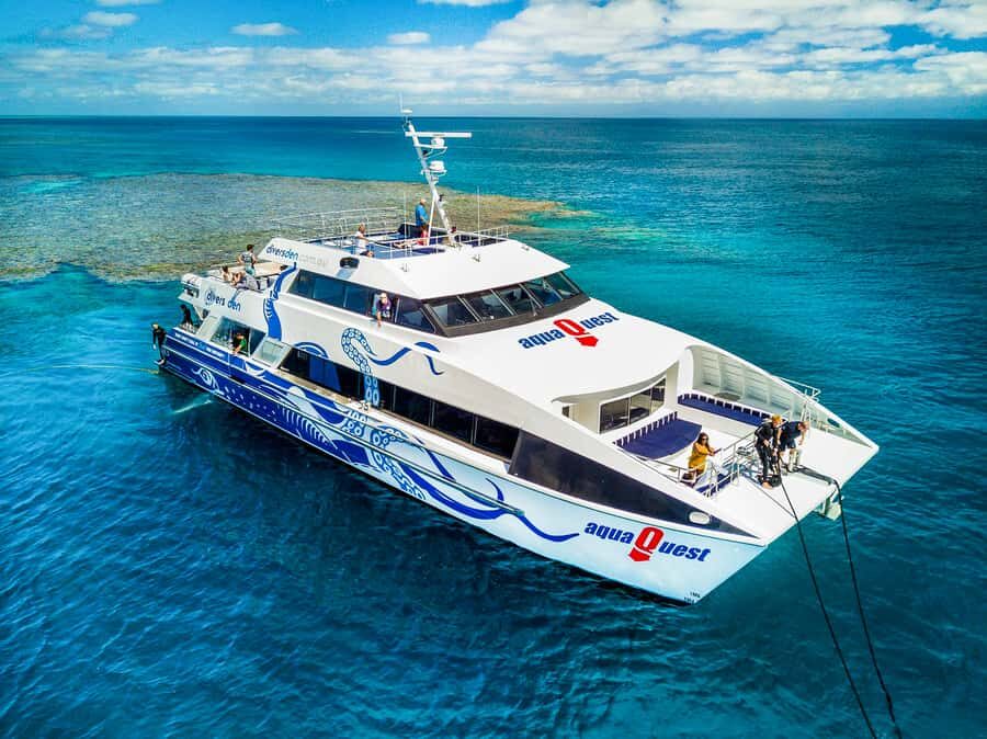 Cairns: Premium Snorkelling and Diving Reef Day Trip - A Closer Look at the Value