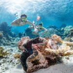 Cairns: Silverswift 3 Great Barrier Reef Sites in 1 Day - The Experience on the Water