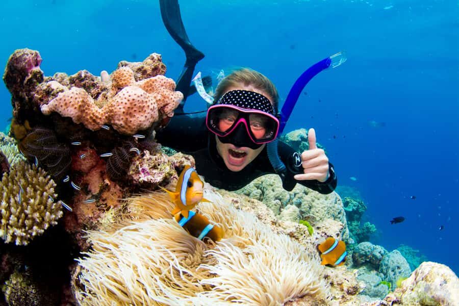 Cairns: Snorkelling and Diving Reef Day Trip - The Downside: What to Know Before You Book