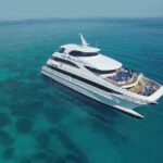 Cairns Super Saver: Reef Cruise, Daintree & Kuranda Rail/Skyrail - What’s Included and What You Should Know