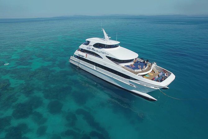 Cairns Super Saver: Reef Cruise, Daintree & Kuranda Rail/Skyrail - What’s Included and What You Should Know