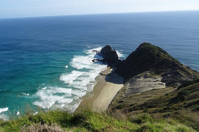 Cape Reinga Half-Day Tour Including Scenic Flight - The Itinerary in Detail