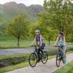 Cape Winery Cycle Tour - 6 wineries, self-guided - Who Is This Tour Best For?