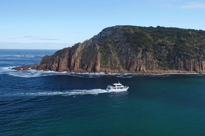 Cape Woolamai Sightseeing Cruise from San Remo - Food, Comfort, and Convenience