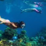 Capt Cook Cruises Super Saver Combo: Day Sail + Dinner Cruise - Why This Tour Stands Out