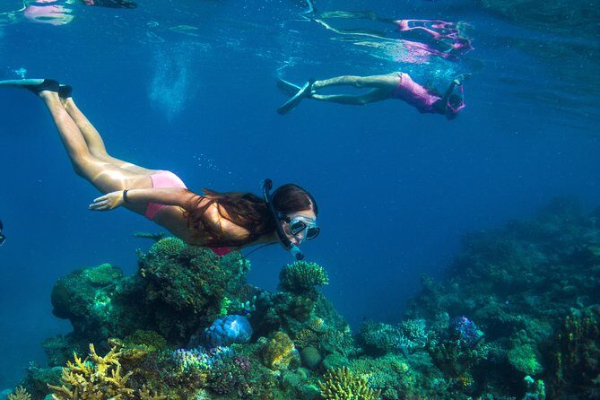 Capt Cook Cruises Super Saver Combo: Day Sail + Dinner Cruise - Why This Tour Stands Out