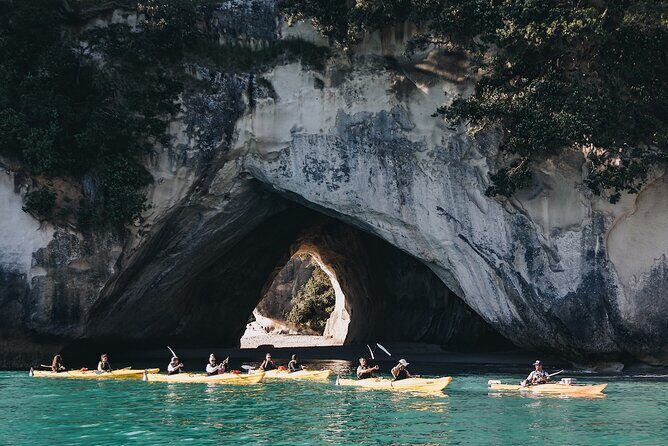 Cathedral Cove Kayak Tour - The Experience: What You Can Expect