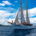 CFC APPROVED Private Departure Transfer - Shangri-La Fijian Rst to Nadi Airport - Why This Transfer Stands Out