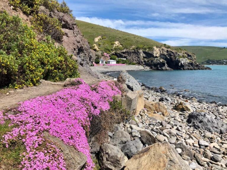 Christchurch: Guided Crater Rim Walk with Coastal Scenery - Deep Dive into the Itinerary