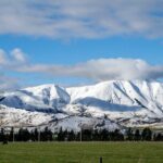 Christchurch to Arthur's Pass Day Tour: TranzAlpine Train & Lunch - Is It Worth the Price?