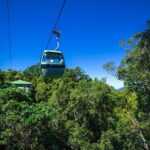 Classic Kuranda by Skyrail and Scenic Railway, Rainforestation & lunch. CKB - Experience Value and Practicalities