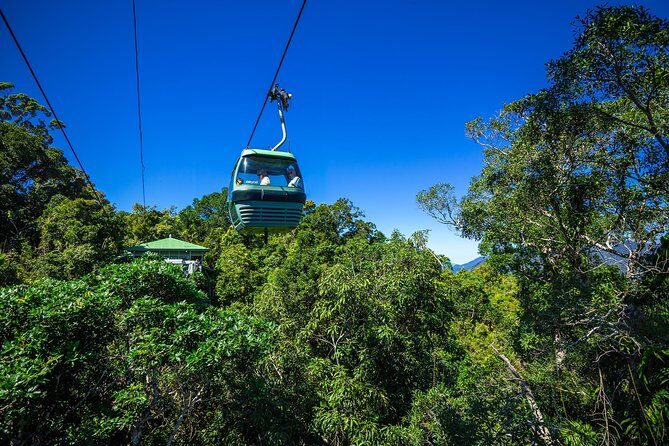 Classic Kuranda by Skyrail and Scenic Railway, Rainforestation & lunch. CKB - Experience Value and Practicalities