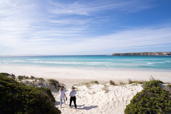 Coffin Bay Day Tour - A Taste of Coffin Bay - Assessing the Value