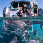 Coral Bay: 2-Hour Coral Viewing and Snorkeling - The Value of a 2-Hour Tour