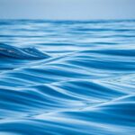 Coral Bay: Full Day Ningaloo Reef with Manta Rays Tour - Who Would Love This Tour?