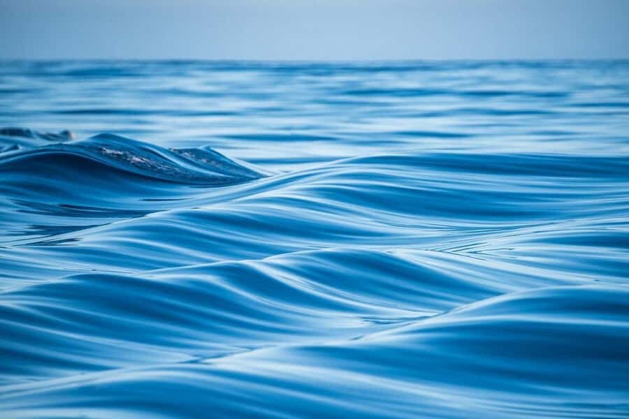 Coral Bay: Full Day Ningaloo Reef with Manta Rays Tour - Who Would Love This Tour?