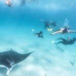 Coral Bay: Marine Eco Safari - Swim With Manta Rays - Pros and Cons Based on Reviews and Info