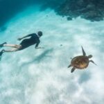 Coral Bay: Ningaloo Reef 3-Hour Turtle Ecotour - The Experience: Highlights and Realities