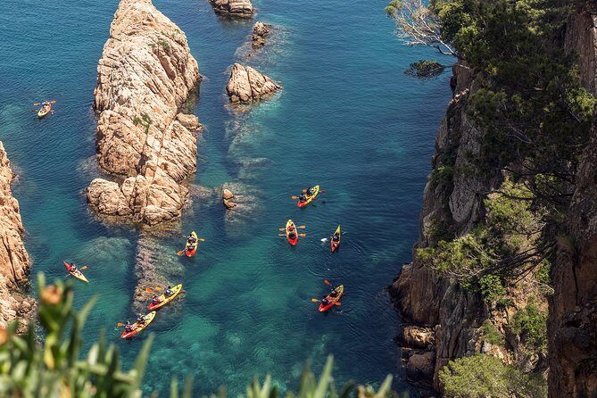 Barcelona Costa Brava Kayak, Snorkel & Cliff Jump Day Tour - The Water Activities: Three Distinct Experiences