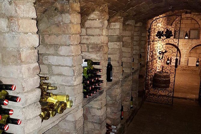 Countryside Half Day Wine Tour near Vienna - How the Tour Actually Flows: Hour by Hour