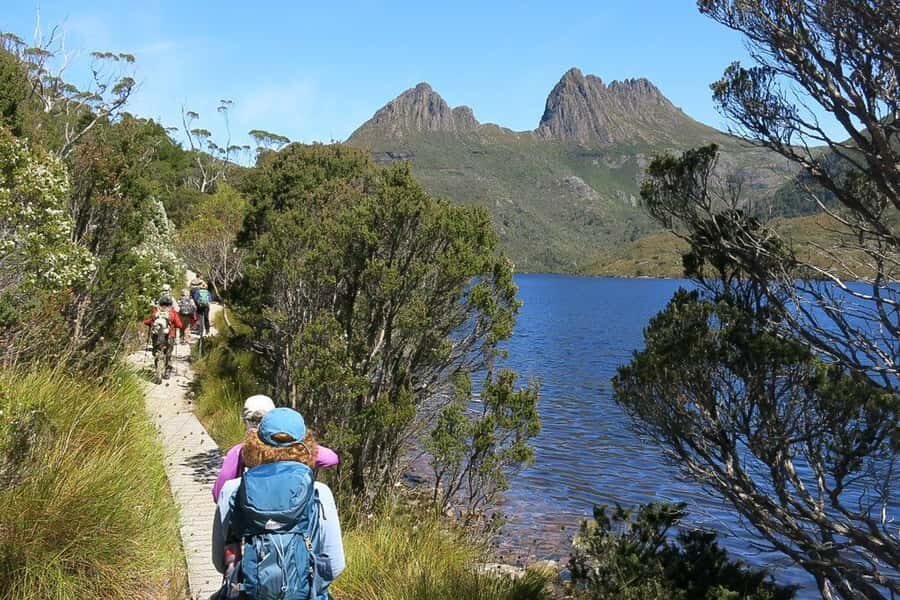 Cradle Mountain: Day Trip from Launceston with Lunch - The Experience: What Guests Say