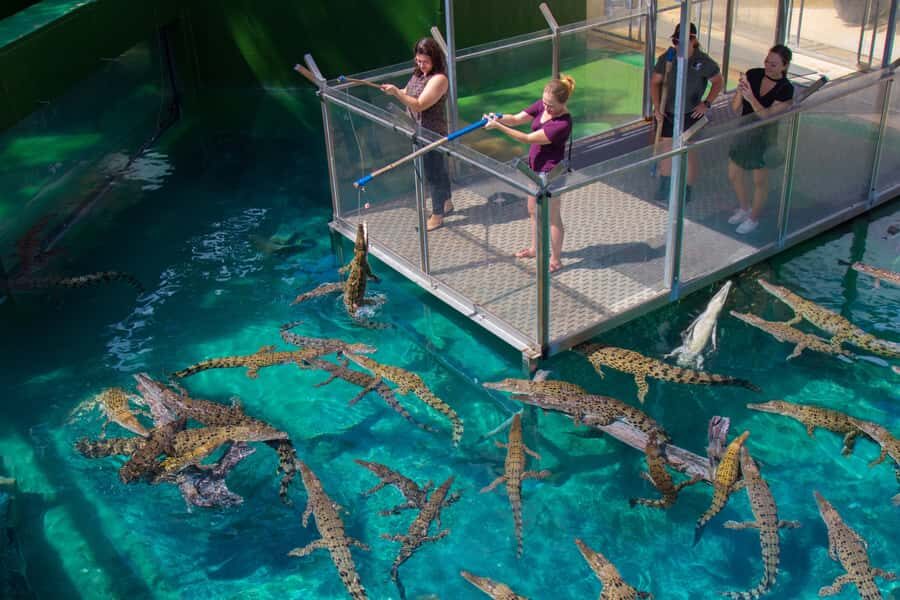 Crocosaurus Cove General Admission Ticket - Navigating the Itinerary