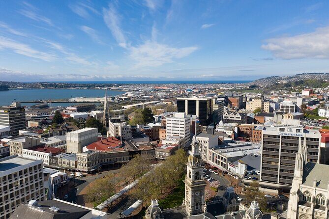 Cruise Dunedin City and Castle Tour - The Value Proposition